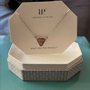 BP Silver Necklace with Gold Triangle Pendant